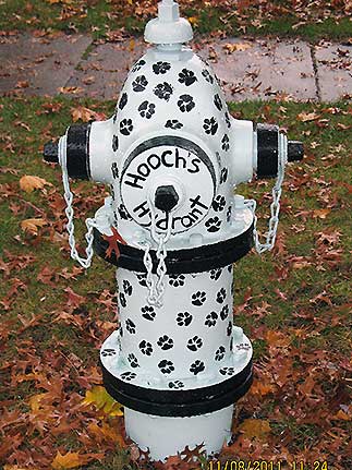 Hoochs Hydrant - Cornell and Adams